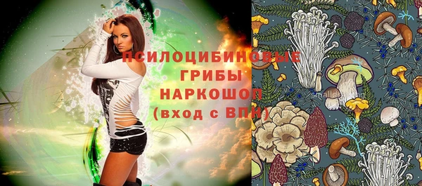 мдма Богданович