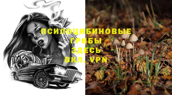 мдма Богданович