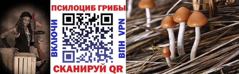 хочу   Нефтекамск  Галлюциногенные грибы мицелий 